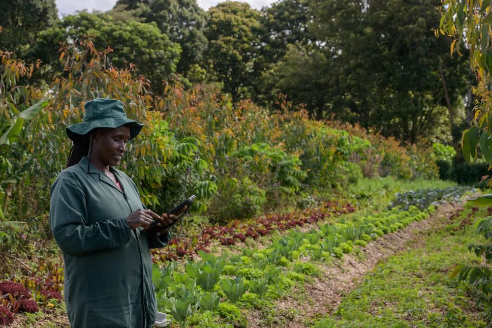 Farm data collected in the field
