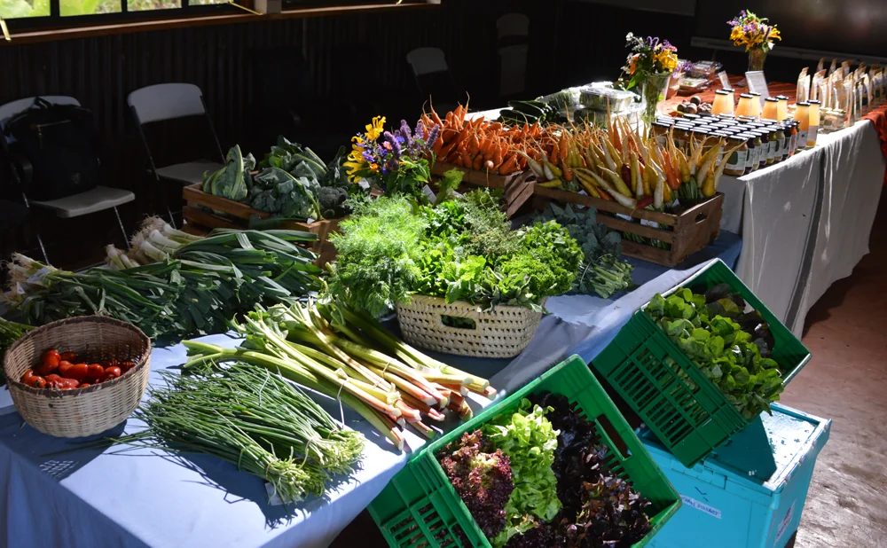 Market morning