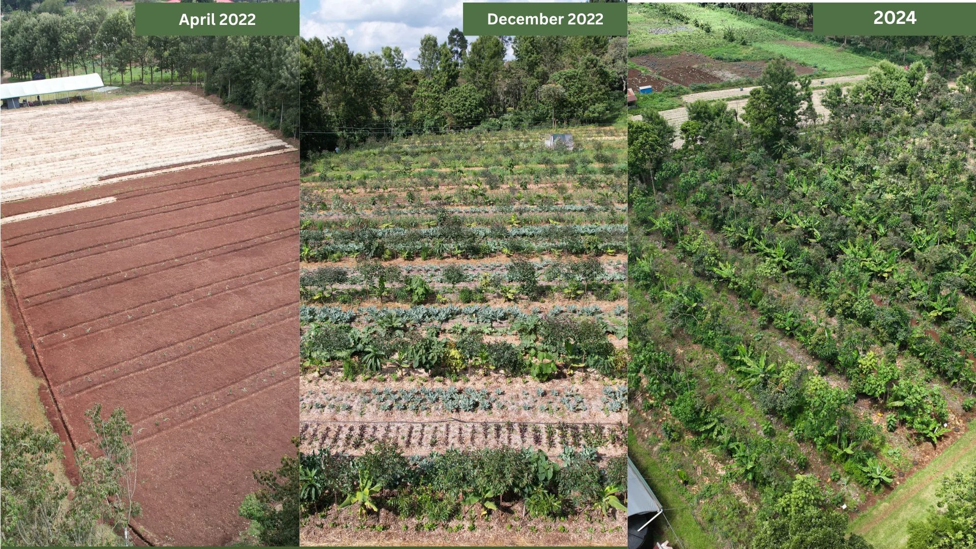 The Limuru site: April 2022, December 2022, 2024