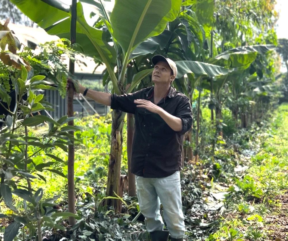 CEO Sven Verwiel in the banana strata