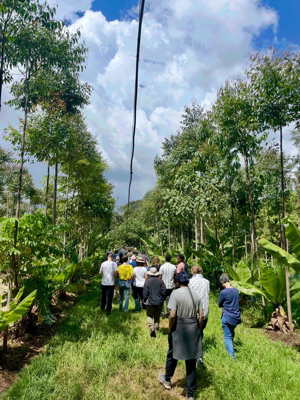 Walking the farm, single file